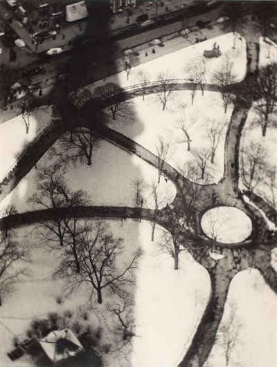 De octopus, New York door Alvin Langdon Coburn